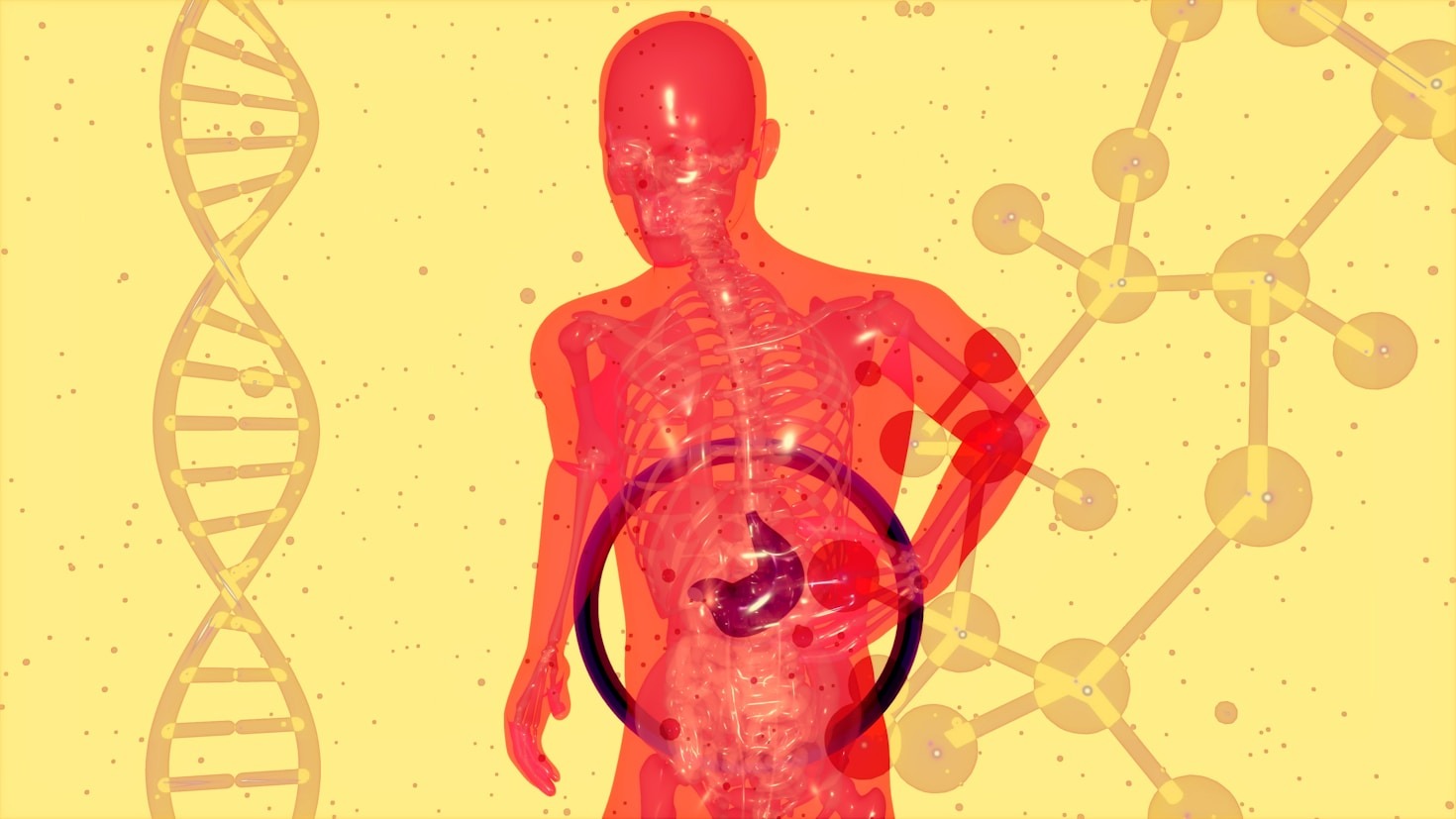 Microbiota Intestinal: Guia Prático de Saúde